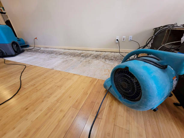 Reliable Basement Flood Cleanup contractor in Durand, IL by Hirex Water Damage