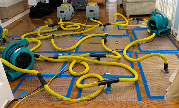 Professional Basement Flood Cleanup technician working in Durand, IL